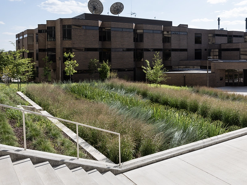 university rain garden landscaping