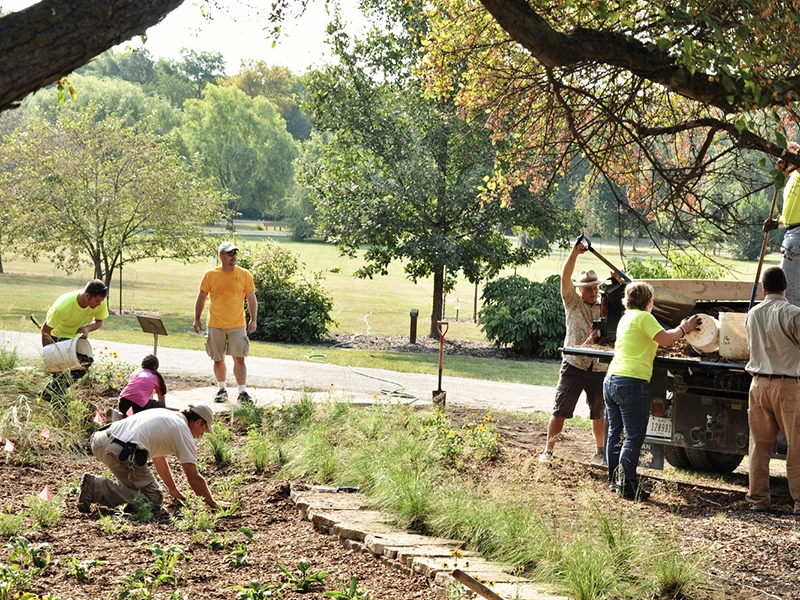 people planting a rain garden