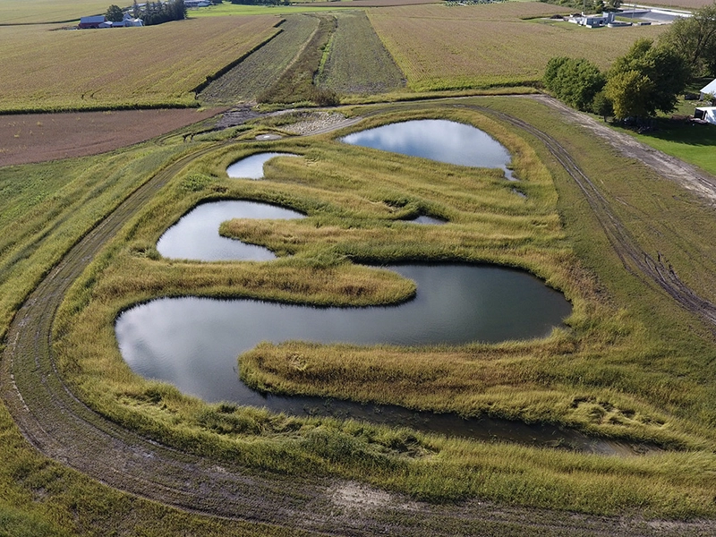 wetland water collection area