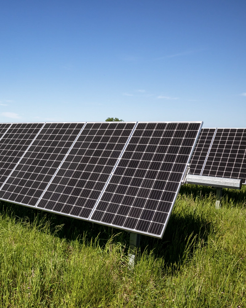 solar panels in field