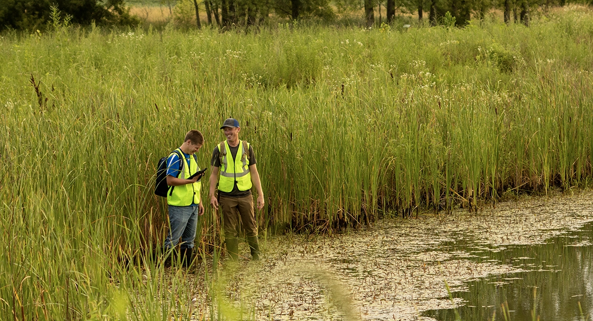 two men studying a wetland marsh