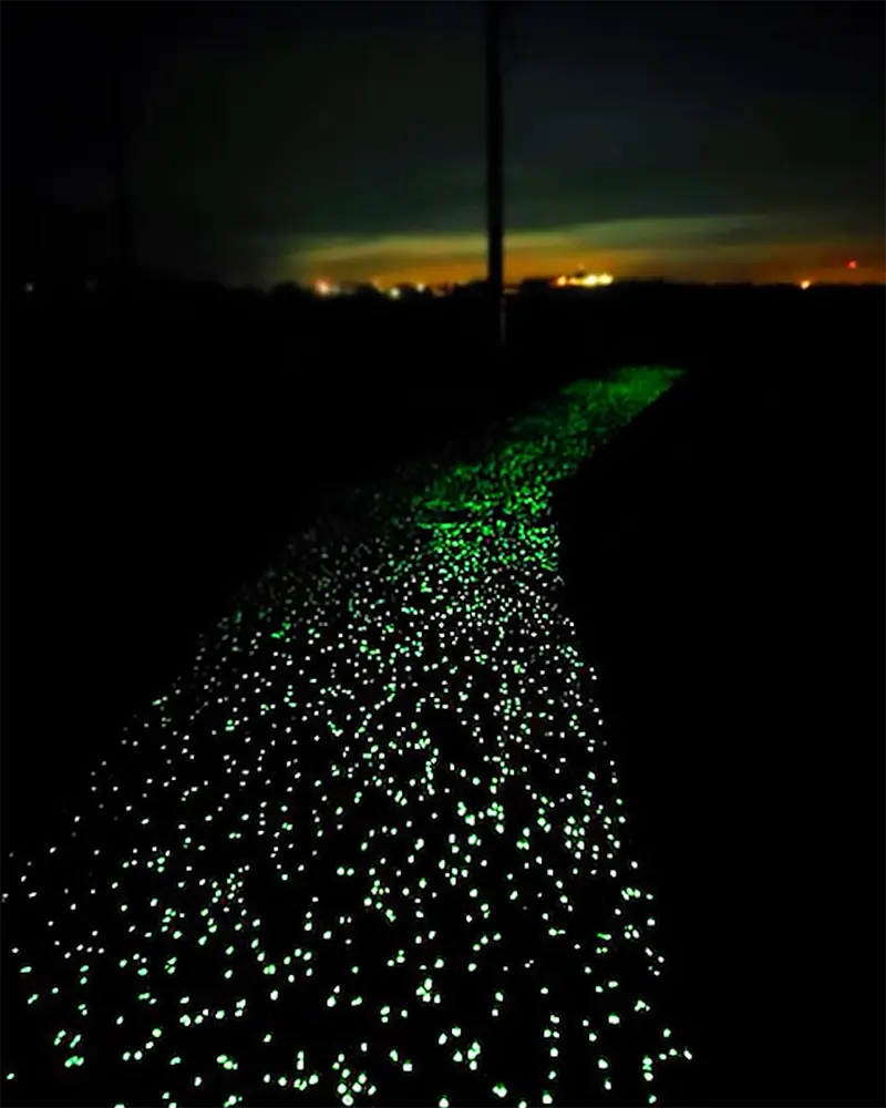 Trail lit up at night with glow in the dark rocks