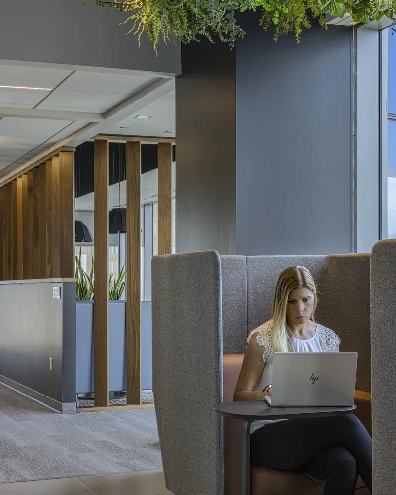 Private Work Space with Green Ceiling