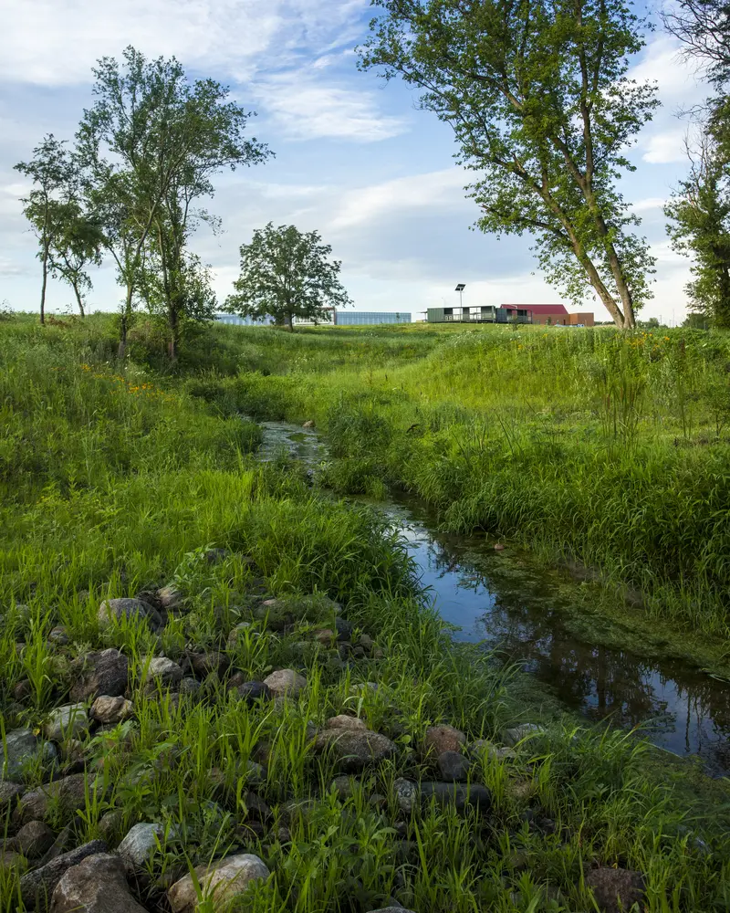 Tedesco Environmental Learning Corridor