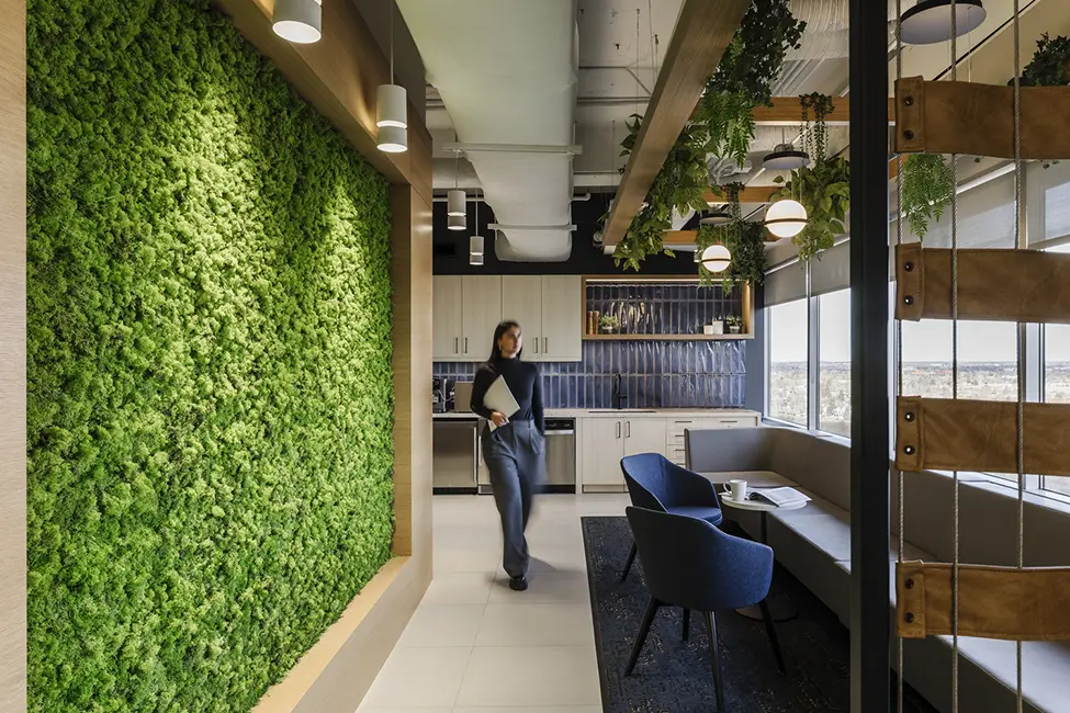 living wall, green wall, Plants