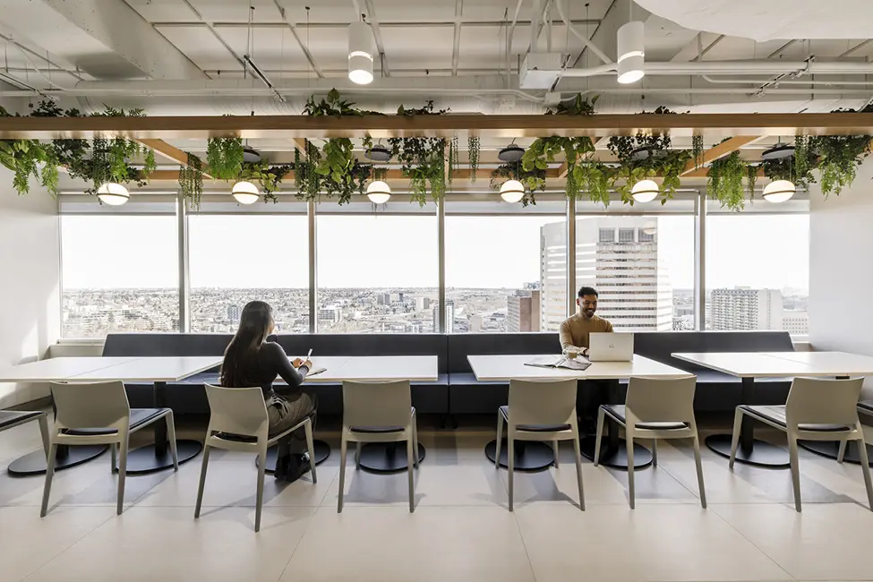 hanging plants, break room, collaboration space