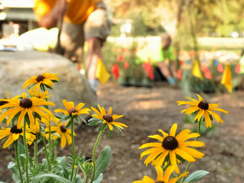 Community Gardening