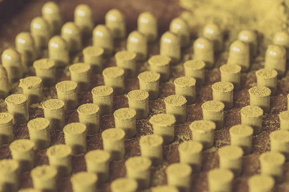Close-up of yellow cylindrical objects arranged in a grid pattern on a surface